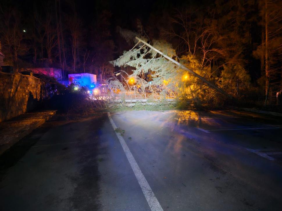 Pericol în Sinaia. Vântul bate cu peste 100 de km/h, cad copaci şi stâlpi. Apel către populație, să stea în case 1034274