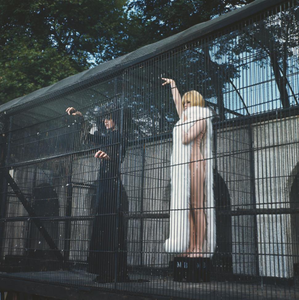 A murit Brigitte Bardot. Celebra actriță franceză avea 91 de ani 1034428