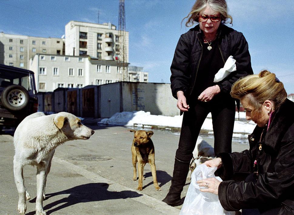 A murit Brigitte Bardot. Celebra actriță franceză avea 91 de ani 1034433