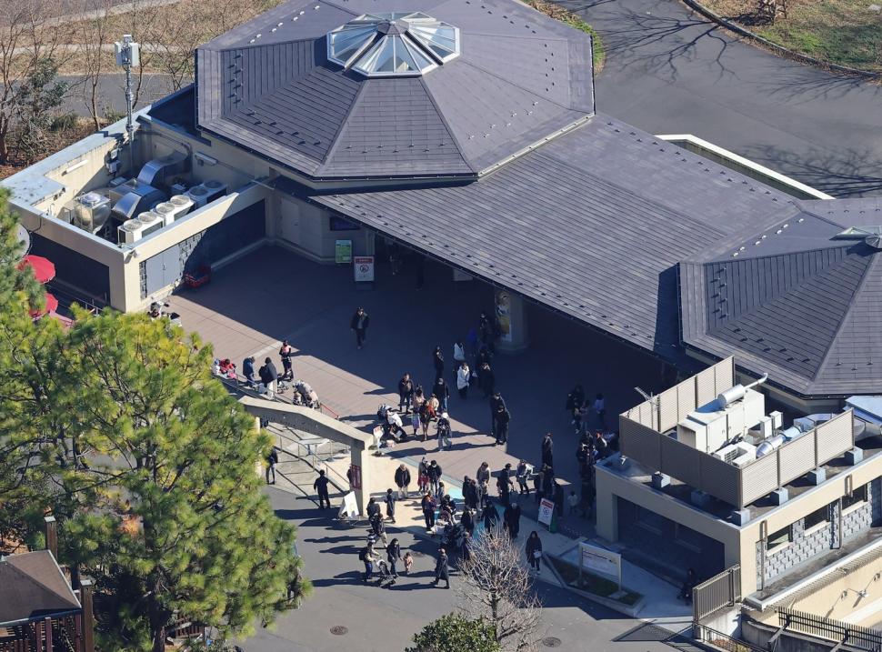 Panică la un zoo din Tokyo. Vizitatorii și-au căutat disperați adăposturi după ce un lup cenușiu a evadat din țarc 1034483