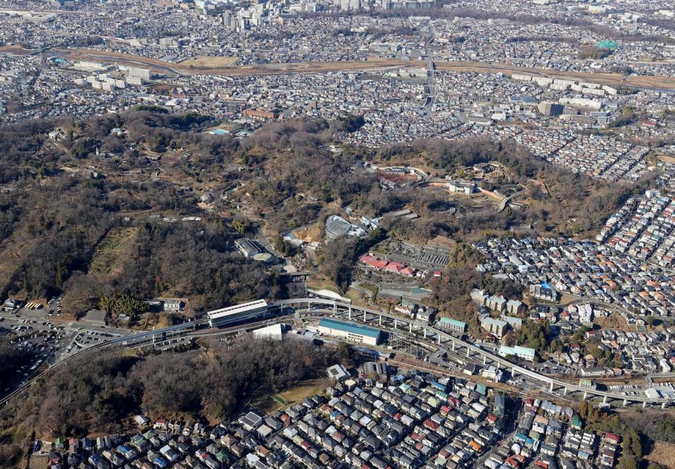 Panică la un zoo din Tokyo. Vizitatorii și-au căutat disperați adăposturi după ce un lup cenușiu a evadat din țarc 1034484