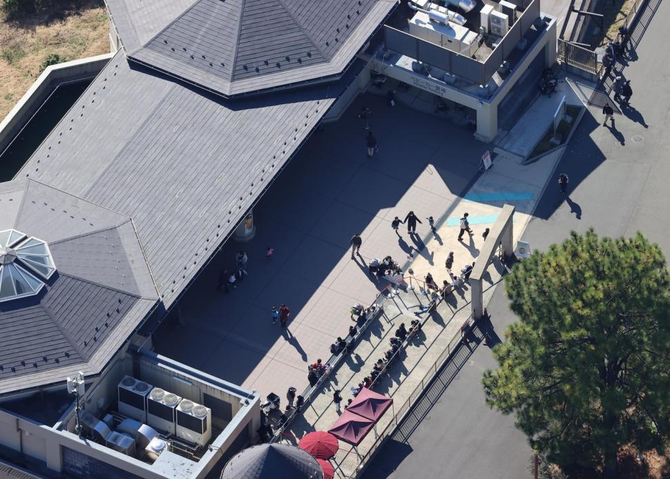 Panică la un zoo din Tokyo. Vizitatorii și-au căutat disperați adăposturi după ce un lup cenușiu a evadat din țarc 1034485