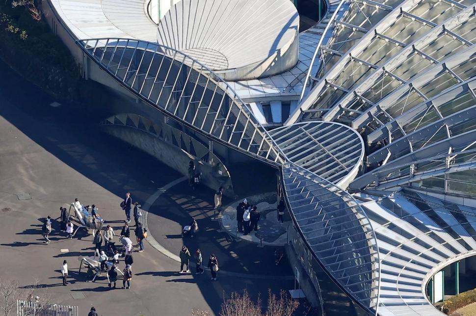 Panică la un zoo din Tokyo. Vizitatorii și-au căutat disperați adăposturi după ce un lup cenușiu a evadat din țarc 1034486