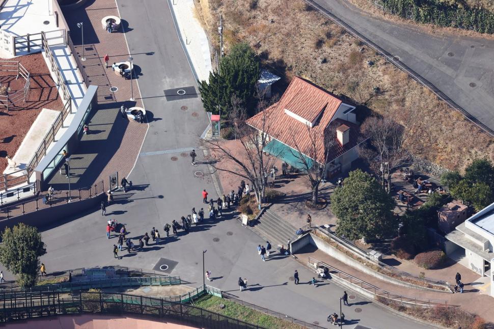 Panică la un zoo din Tokyo. Vizitatorii și-au căutat disperați adăposturi după ce un lup cenușiu a evadat din țarc 1034489