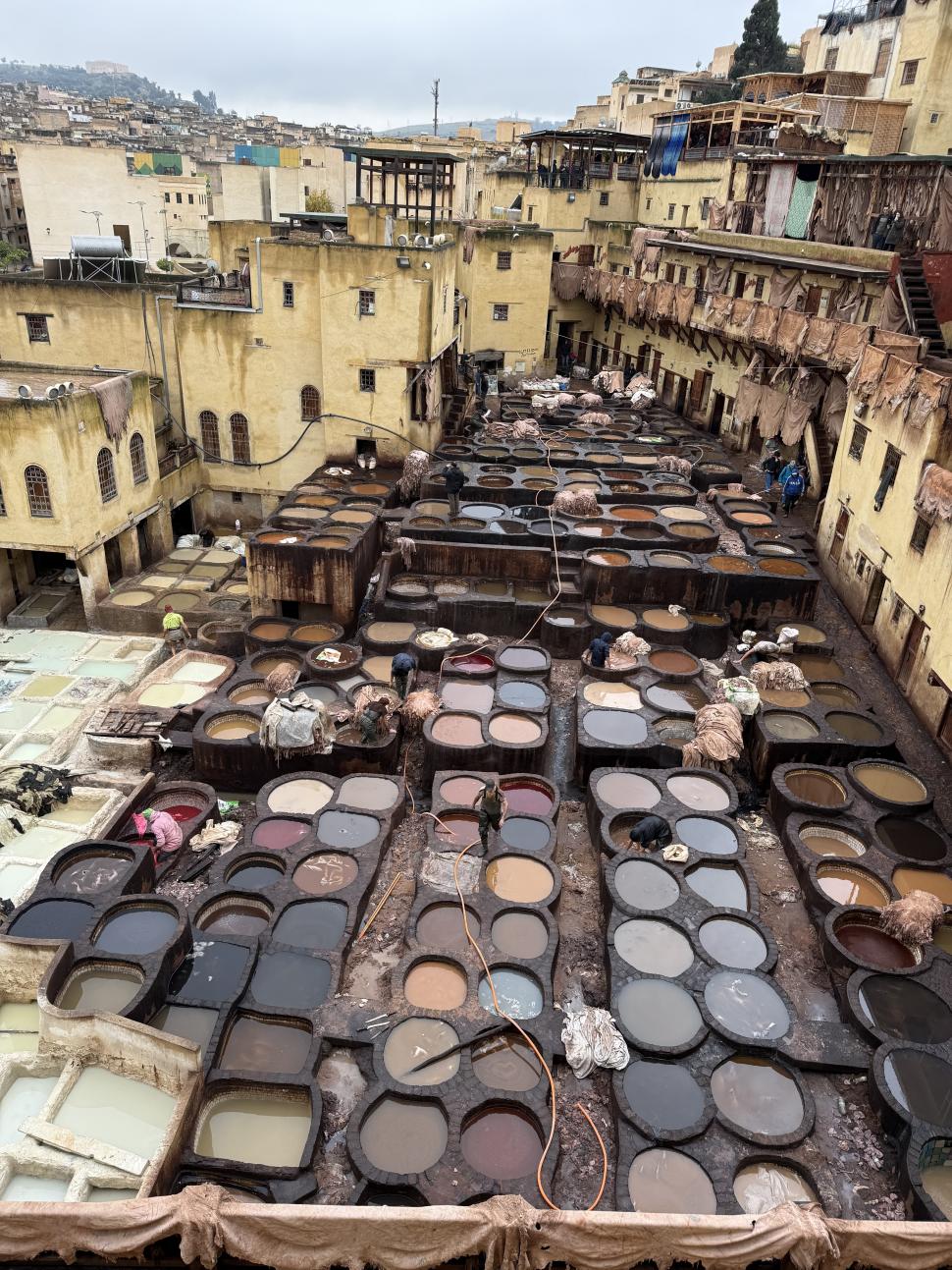 Cum arată cea mai veche pielărie din lume și de ce aici găinațul de porumbel se vinde cu 20 de euro kilogramul 1035125