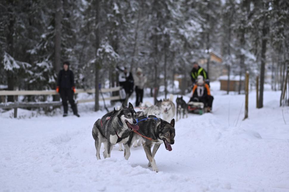 Satul lui Moș Crăciun din Laponia, copleșit de turiști. Cum o cabană pentru o fostă Primă Doamnă a devenit o industrie de milioane 1035312