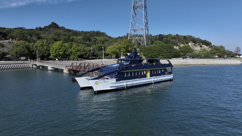  „Un loc al întunericului și al luminii”. Cum a ajuns o insulă nelocuită din Japonia un paradis al iepurilor 1035466