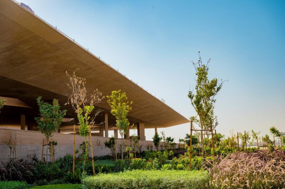 Cel mai mare parc urban din lume va fi în țara cu cel mai mare deșert de nisip continuu de pe Pământ. Cum va arăta grădina uriașă  1035663