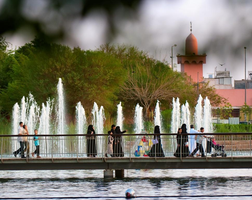 Cel mai mare parc urban din lume va fi în țara cu cel mai mare deșert de nisip continuu de pe Pământ. Cum va arăta grădina uriașă  1035668