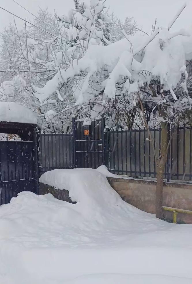 Viscolul face ravagii în Hunedoara. Circulația la Rânca este restricționată, poliția controlează toate mașinile 1036137