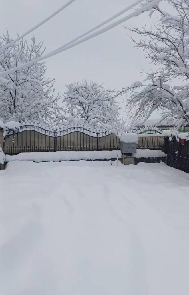 Viscolul face ravagii în Hunedoara. Circulația la Rânca este restricționată, poliția controlează toate mașinile 1036138