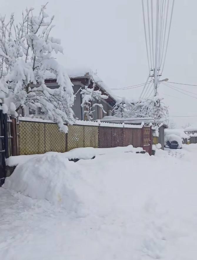 Viscolul face ravagii în Hunedoara. Circulația la Rânca este restricționată, poliția controlează toate mașinile 1036139