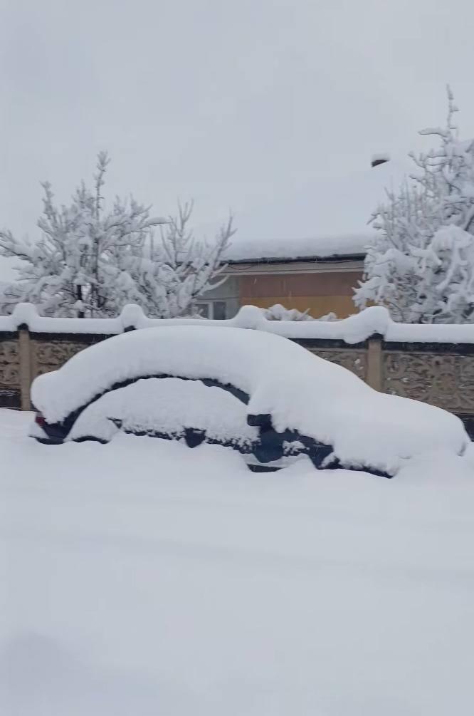 Viscolul face ravagii în Hunedoara. Circulația la Rânca este restricționată, poliția controlează toate mașinile 1036140