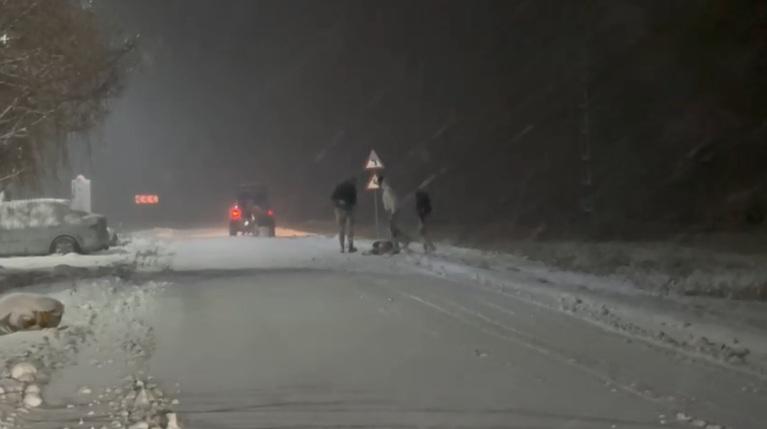 Patru tineri au fost filmaţi când erau trași cu săniile de o maşină pe un drum public din judeţul Timiş  1036546