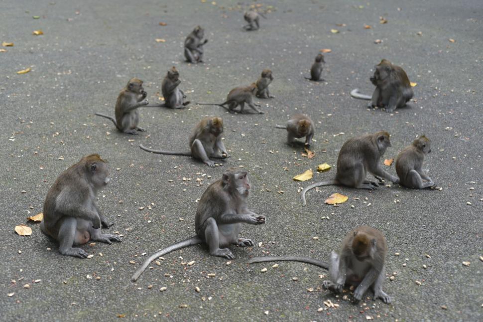 O destinație turistică iubită de români ar putea cere în curând extrase de cont bancare pe trei luni de la turiștii străini 1036363