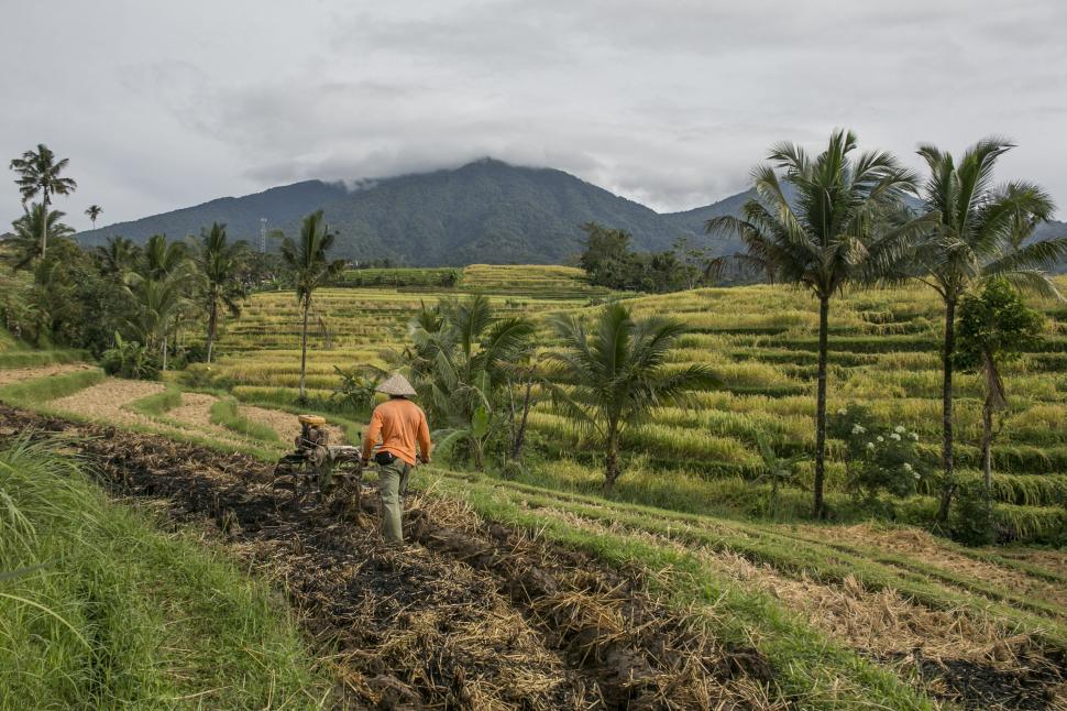O destinație turistică iubită de români ar putea cere în curând extrase de cont bancare pe trei luni de la turiștii străini 1036367