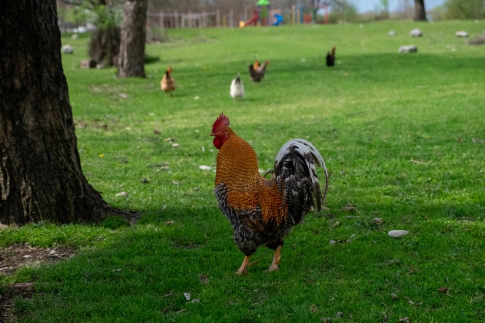 Turiștii descoperă o destinație fascinantă la marginea Europei, dar aflată pe lista locurilor declarate „periculoase” de SUA 1036661