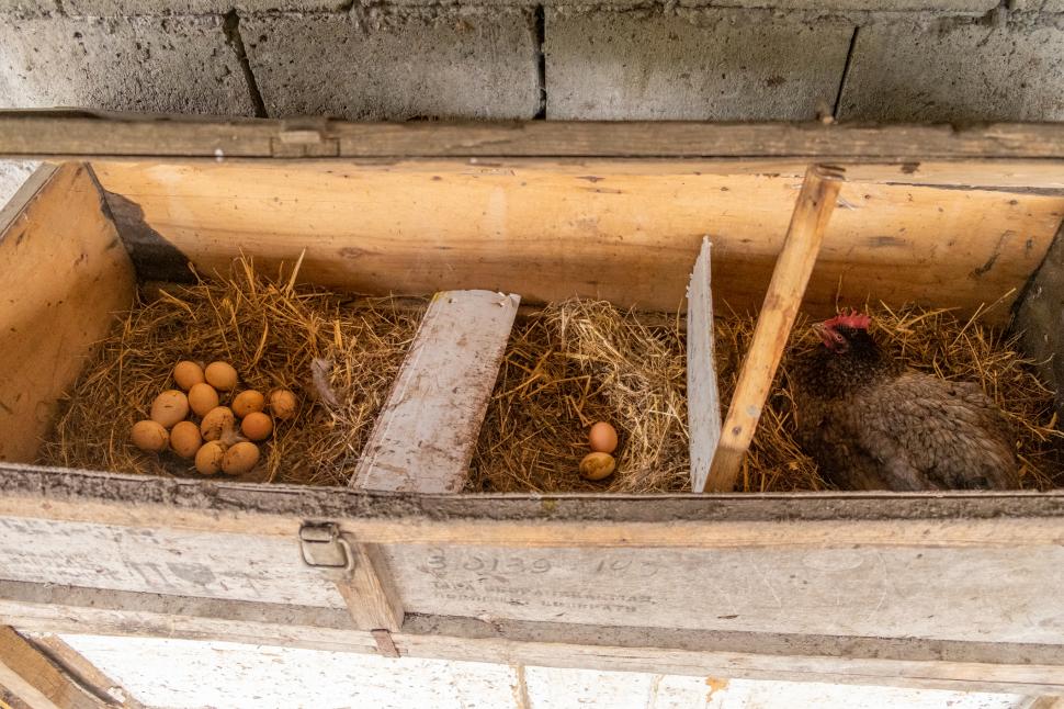 Turiștii descoperă o destinație fascinantă la marginea Europei, dar aflată pe lista locurilor declarate „periculoase” de SUA 1036666