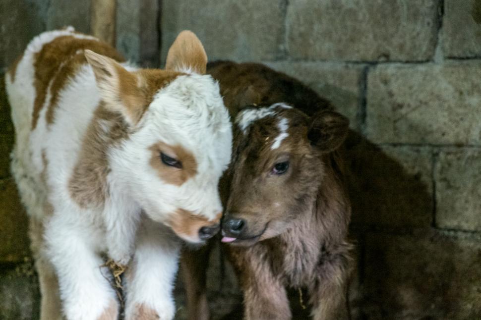 Turiștii descoperă o destinație fascinantă la marginea Europei, dar aflată pe lista locurilor declarate „periculoase” de SUA 1036673