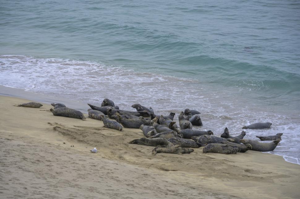 O insulă nelocuită caută doi angajați care să aibă grijă de o cafenea. Joburile vin cu beneficii tentante, dar și cu o condiție 1037073