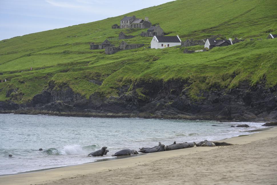 O insulă nelocuită caută doi angajați care să aibă grijă de o cafenea. Joburile vin cu beneficii tentante, dar și cu o condiție 1037076