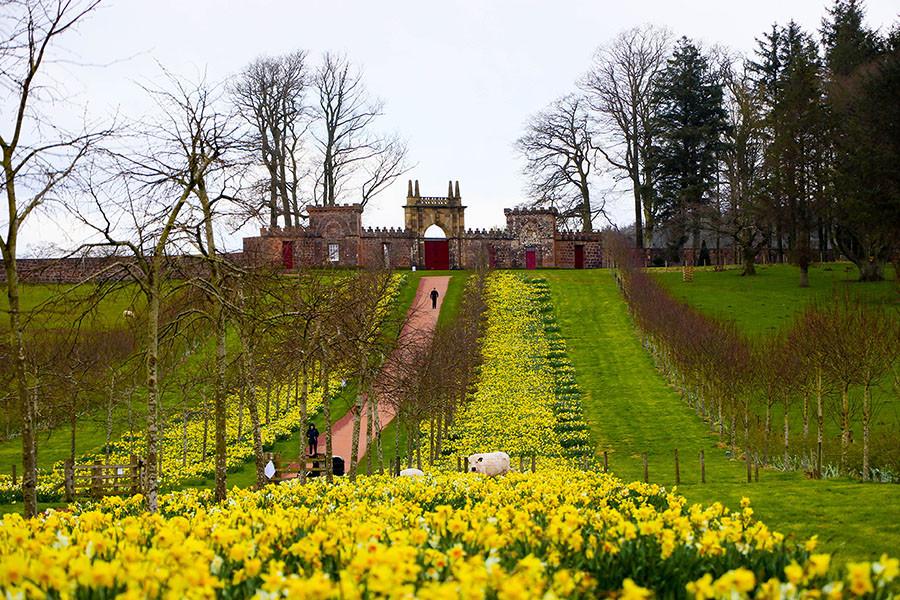 Regele Charles anunță transformarea de 8,7 milioane de dolari a unei proprietății regale în spațiu de nunți. Cum arată acum conacul 1036782