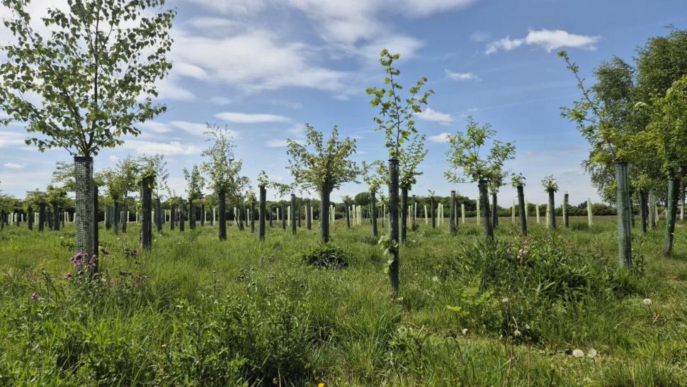 „Suntem aici doar într-o vizită scurtă”. Povestea lui Jonny, „cel mai bun gropar” al Marii Britanii 1037107