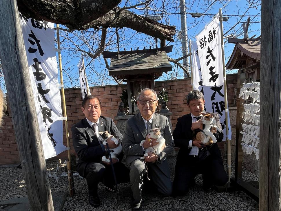 Japonia are un nou șef de gară felin: Yontama va „conduce” linia ferată unde pisicile au făcut istorie, salvând-o de la faliment 1036843