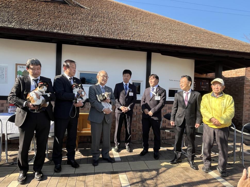 Japonia are un nou șef de gară felin: Yontama va „conduce” linia ferată unde pisicile au făcut istorie, salvând-o de la faliment 1036844