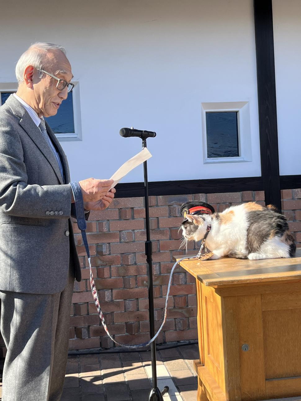 Japonia are un nou șef de gară felin: Yontama va „conduce” linia ferată unde pisicile au făcut istorie, salvând-o de la faliment 1036845