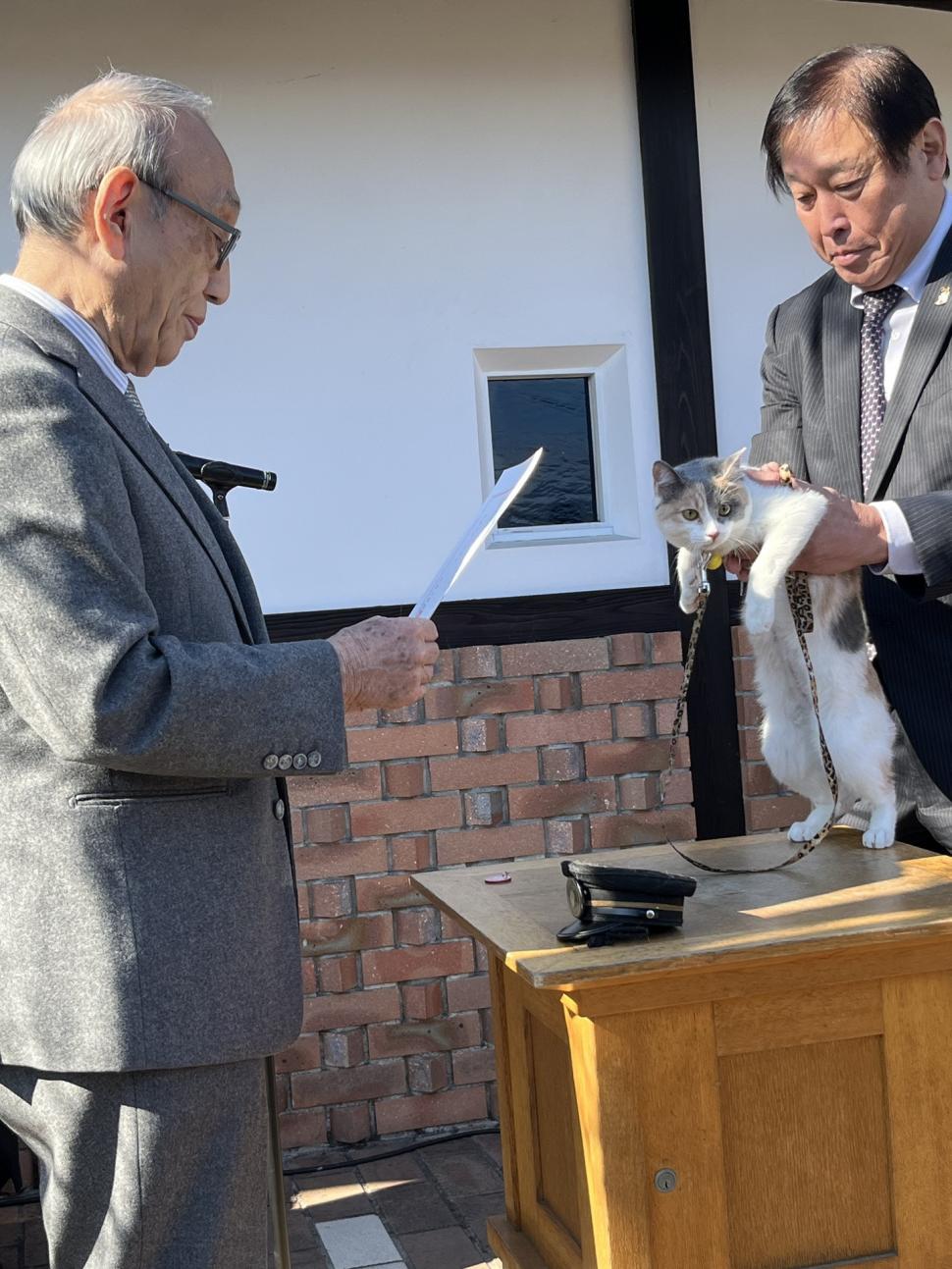 Japonia are un nou șef de gară felin: Yontama va „conduce” linia ferată unde pisicile au făcut istorie, salvând-o de la faliment 1036847