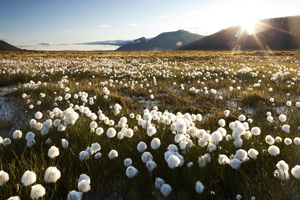 Scandal pe pământul de la capătul lumii. De ce Rusia, China și SUA vor să pună mâna pe arhipelagul norvegian Svalbard 1037839