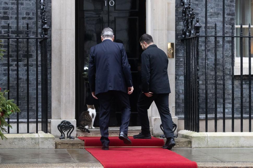 Scene amuzante cu Larry, motanul de la Downing Street. De această dată, fotograful lui Nawrocki era să-l calce pe coadă la propriu 1038181