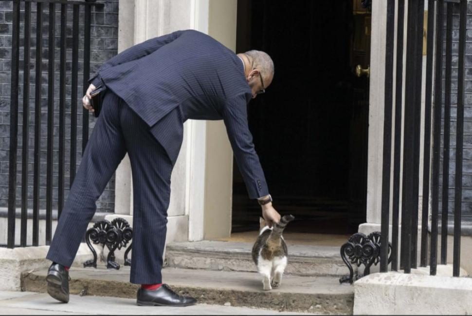 Scene amuzante cu Larry, motanul de la Downing Street. De această dată, fotograful lui Nawrocki era să-l calce pe coadă la propriu 1038195