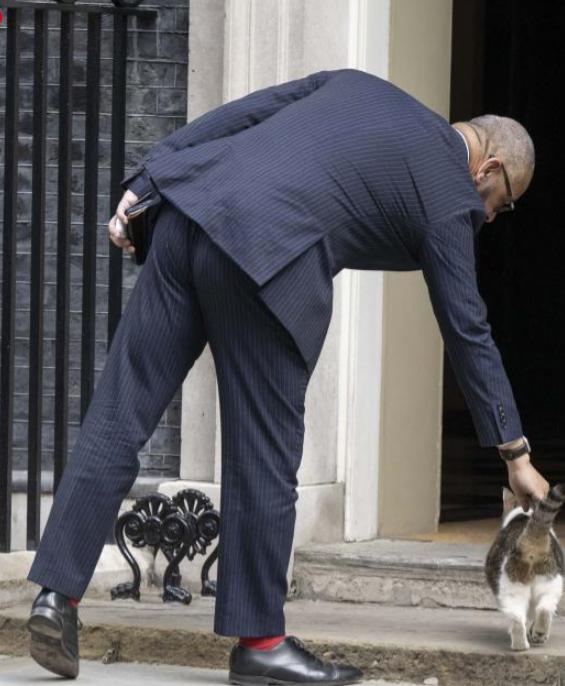 Scene amuzante cu Larry, motanul de la Downing Street. De această dată, fotograful lui Nawrocki era să-l calce pe coadă la propriu 1038196