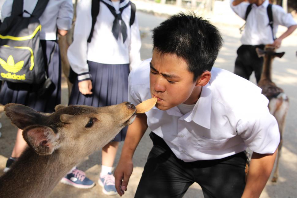 Adevăratele vedete din timpul summitului dintre Japonia și Coreea de Sud. Au fost cele mai admirate și mai fotografiate 1038555
