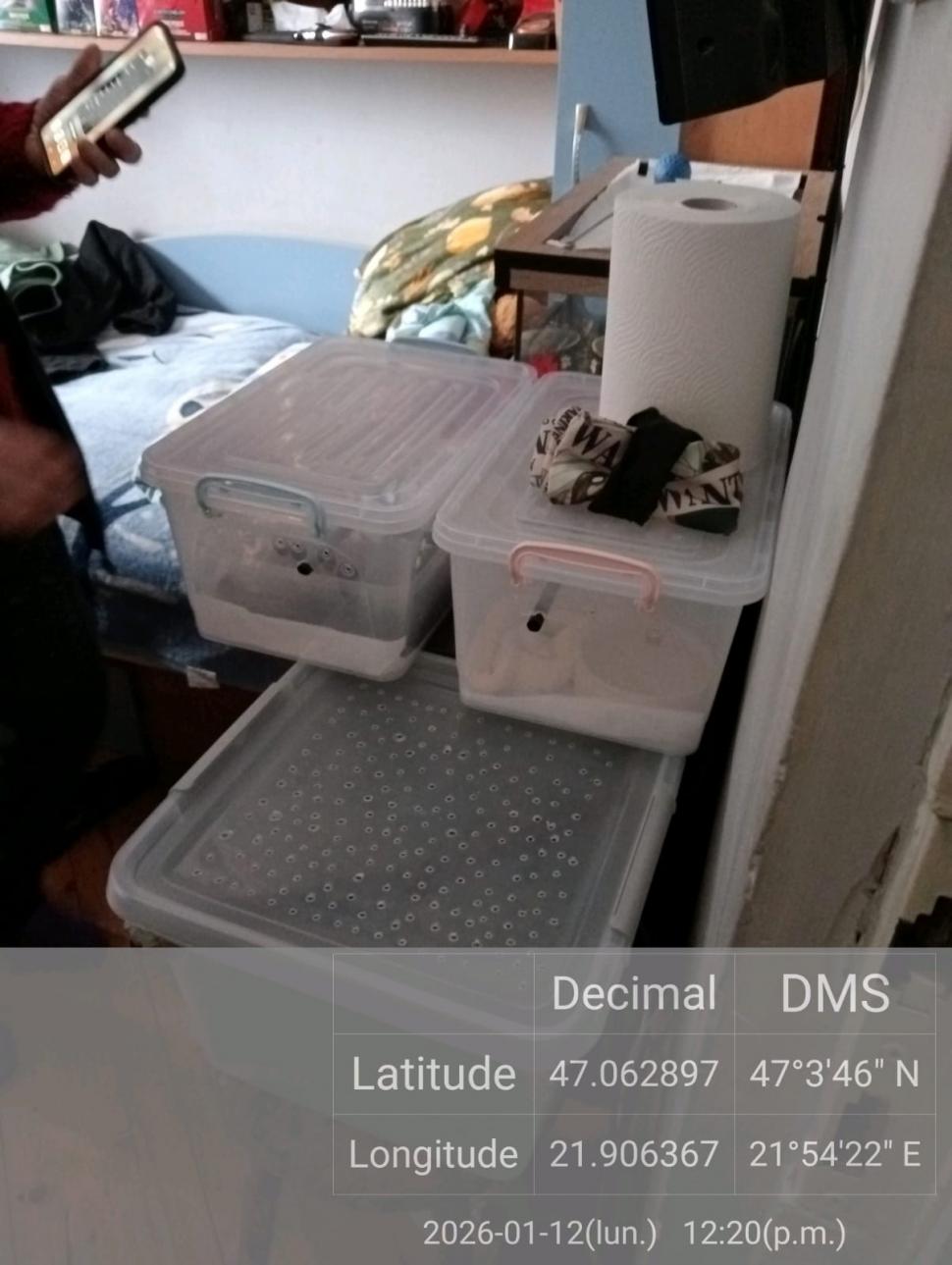 Crescătorie ilegală de reptile, găsită într-un apartament din Bihor. Erau și 2 vipere pentru care nu există ser antiviperin în România 1038641