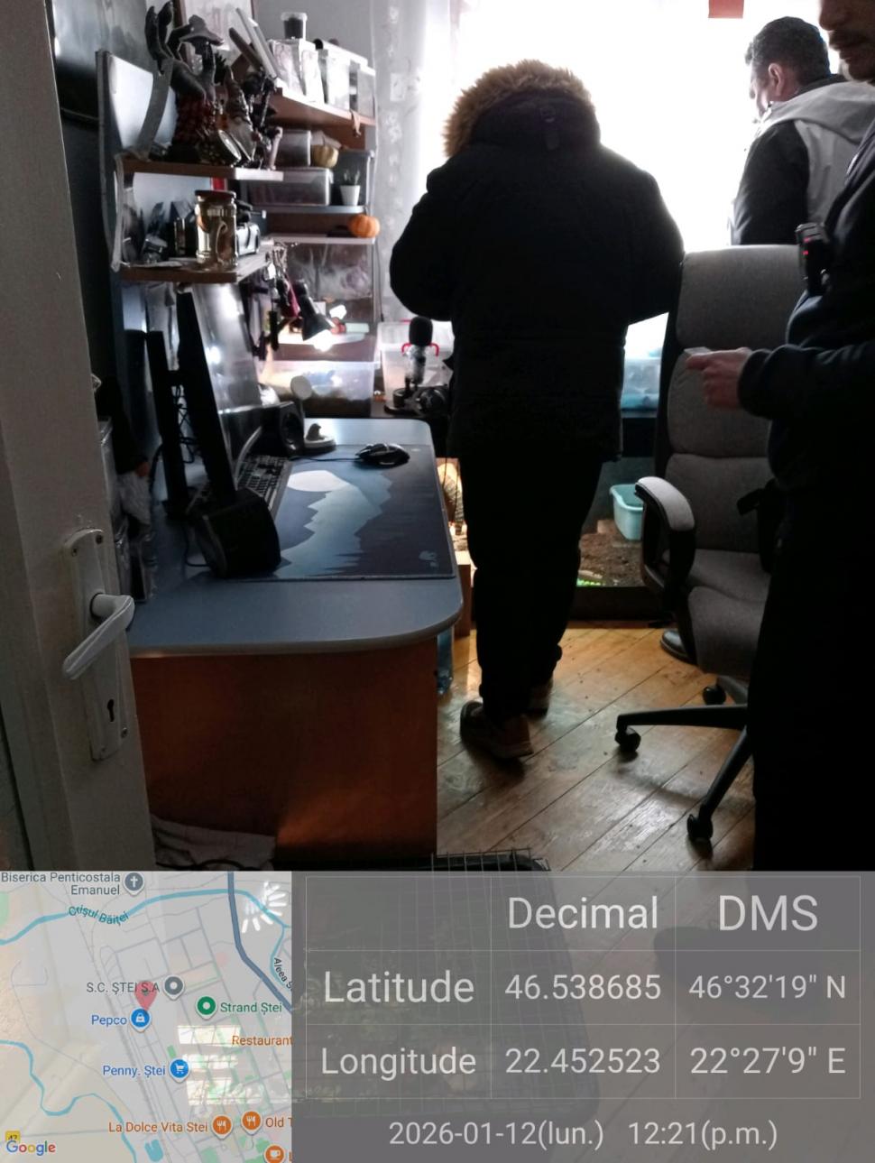 Crescătorie ilegală de reptile, găsită într-un apartament din Bihor. Erau și 2 vipere pentru care nu există ser antiviperin în România 1038644