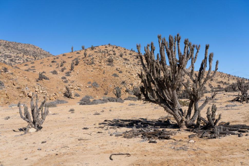 Cel mai uscat loc de pe Pământ, unde nu a plouat timp de 400 de ani 1039320