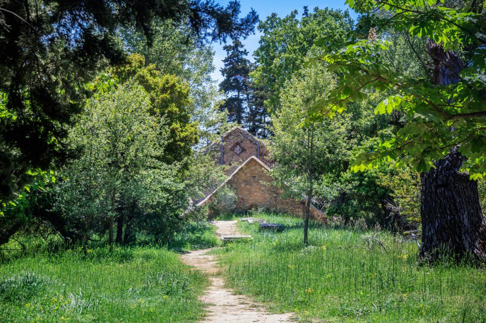 Fostul domeniu al palatului de vară regal din Grecia va fi deschis publicului. Cum arată Domeniul Tatoi 1039516