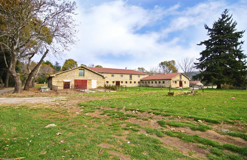 Fostul domeniu al palatului de vară regal din Grecia va fi deschis publicului. Cum arată Domeniul Tatoi 1039519