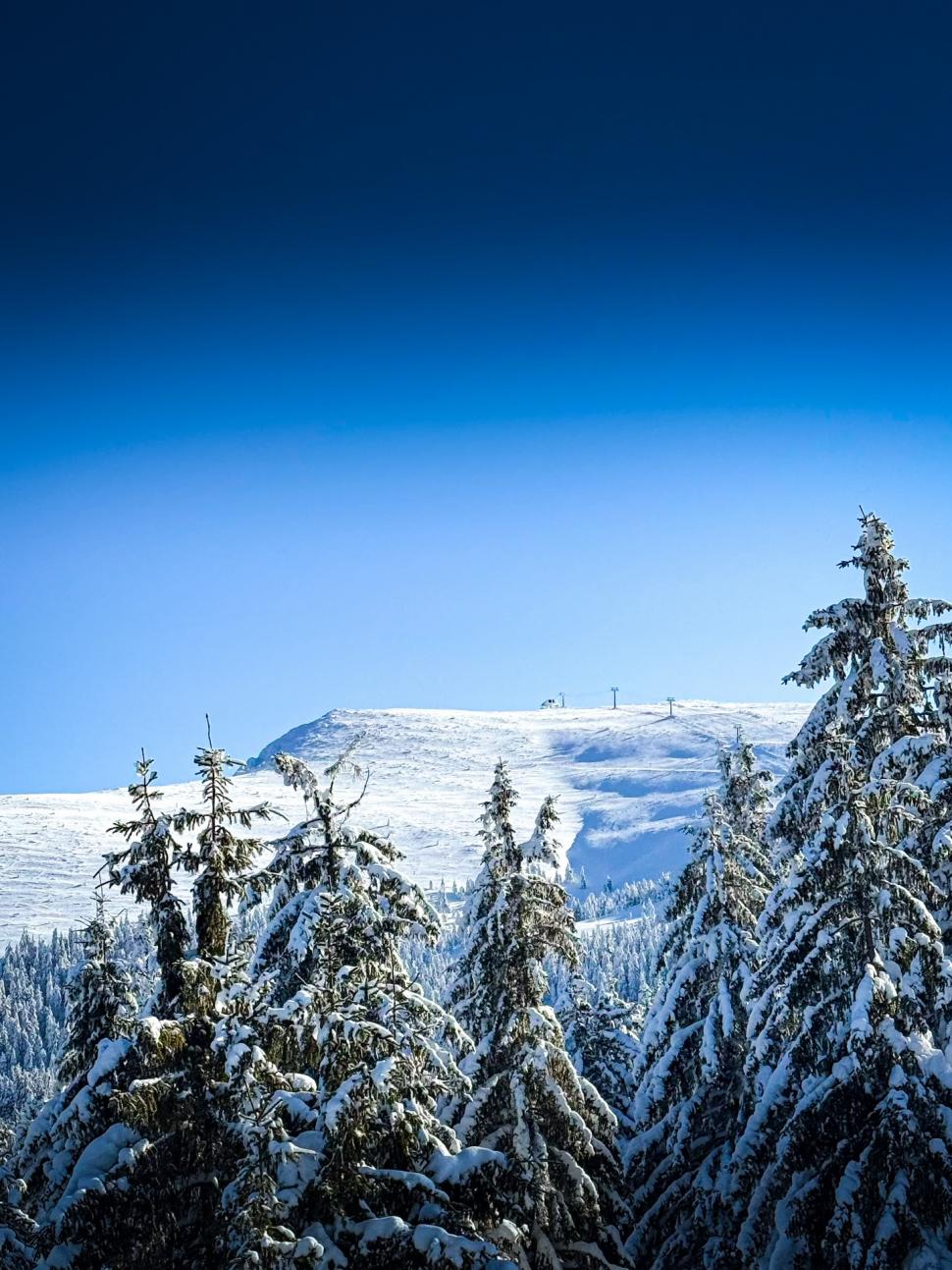 A fost deschisă cea mai lungă pârtie de schi din ţară, la Straja. Ce lungime are și cum se ajunge acolo: Zăpada ajunge și la 2 metri 1040303