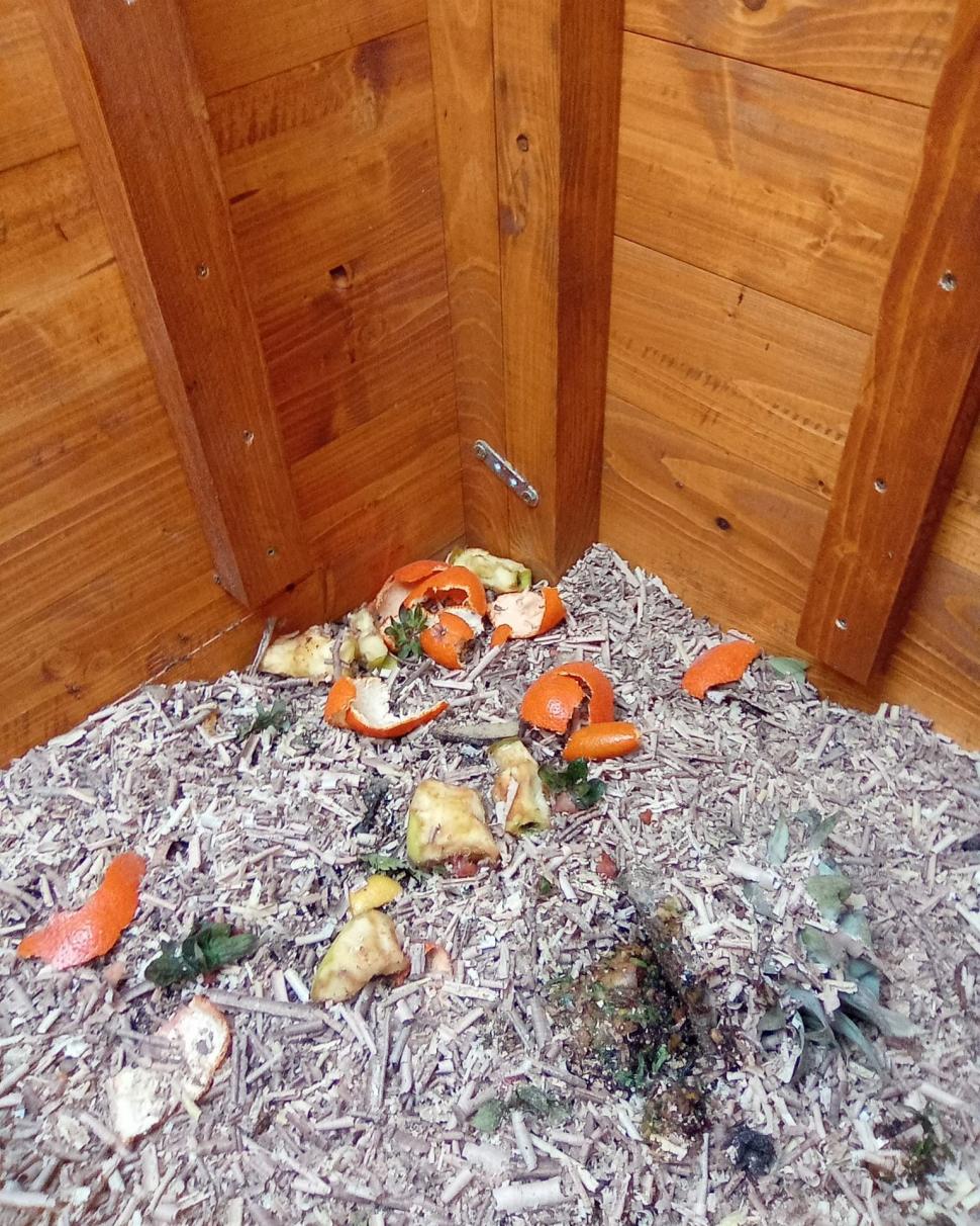 O şcoală din Bucureşti a deschis un punct de compostare și va folosi îngrăşământul în grădină. Ce resturi vegetale pot aduce elevii 1040577