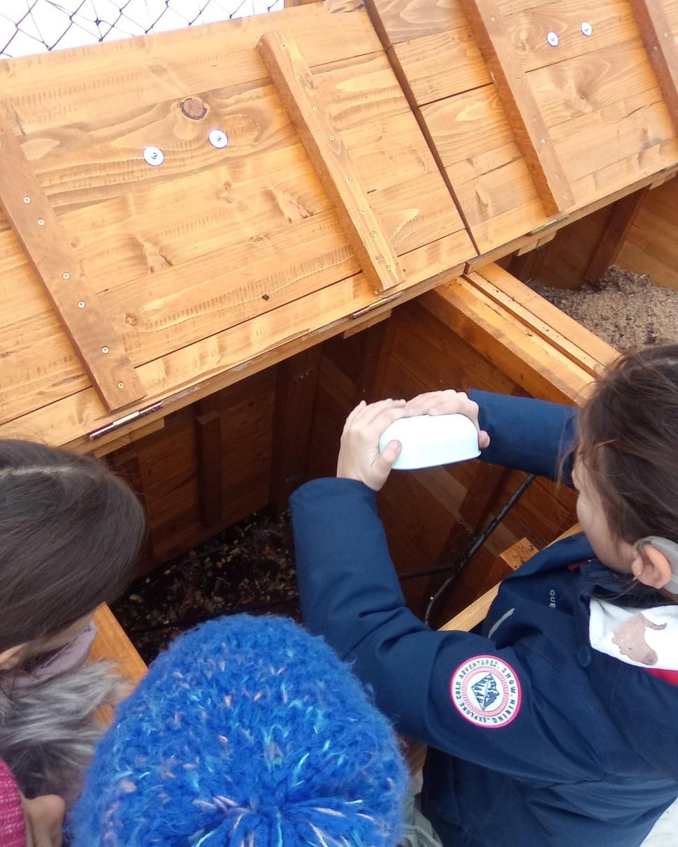 O şcoală din Bucureşti a deschis un punct de compostare și va folosi îngrăşământul în grădină. Ce resturi vegetale pot aduce elevii 1040579