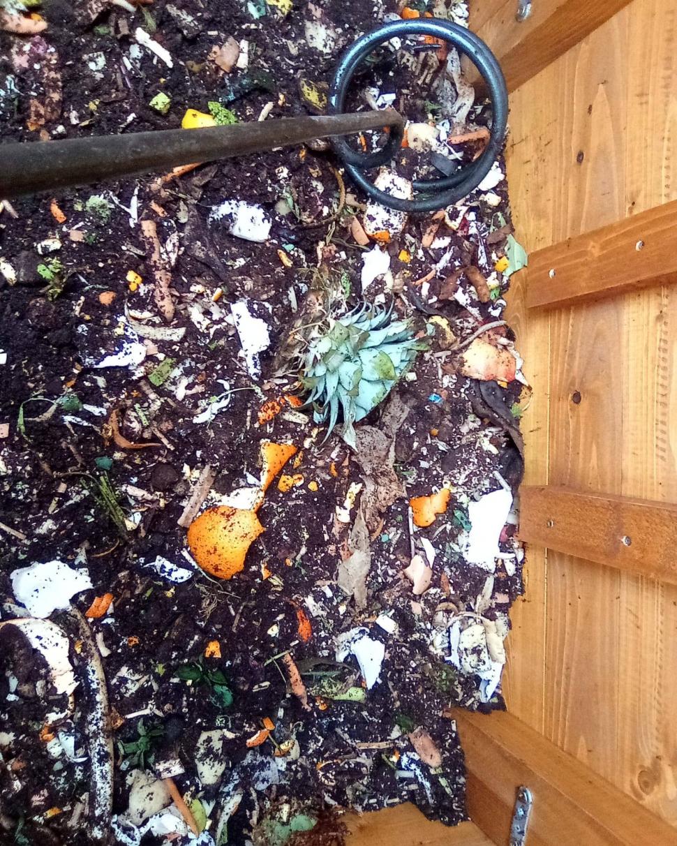 O şcoală din Bucureşti a deschis un punct de compostare și va folosi îngrăşământul în grădină. Ce resturi vegetale pot aduce elevii 1040581