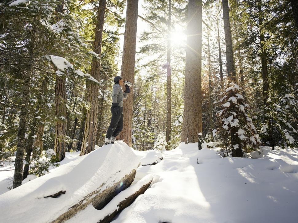 Haos în celebrul parc național al Americii. Yosemite a rămas fără rangeri, iar turiștii nu mai respectă nicio regulă 1040161