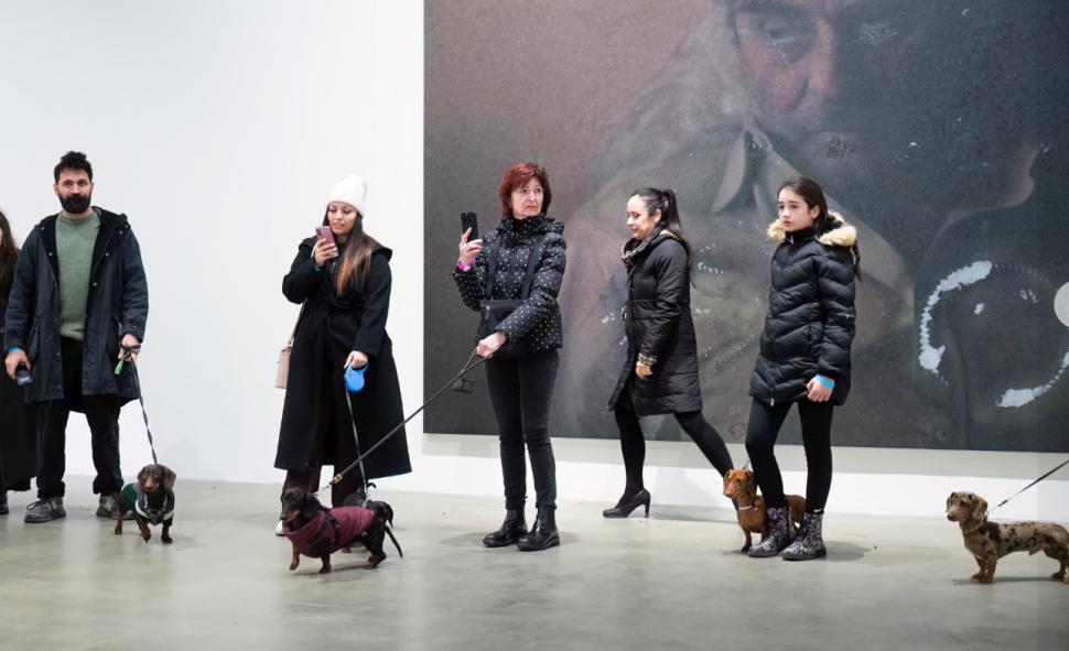 Experiment inedit în Italia: oamenii au mers la muzeu însoți de câinii lor 1040540