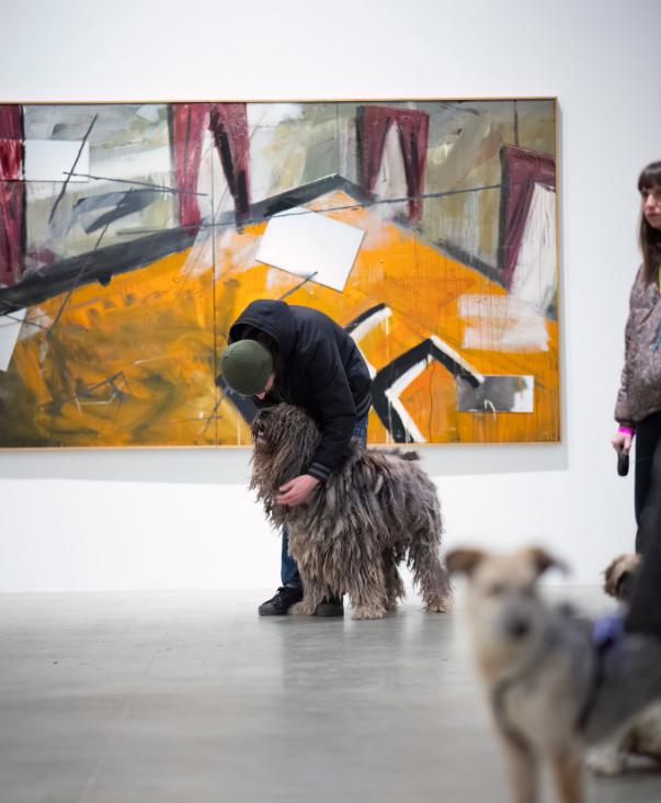 Experiment inedit în Italia: oamenii au mers la muzeu însoți de câinii lor 1040541