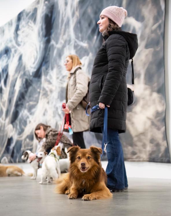 Experiment inedit în Italia: oamenii au mers la muzeu însoți de câinii lor 1040543