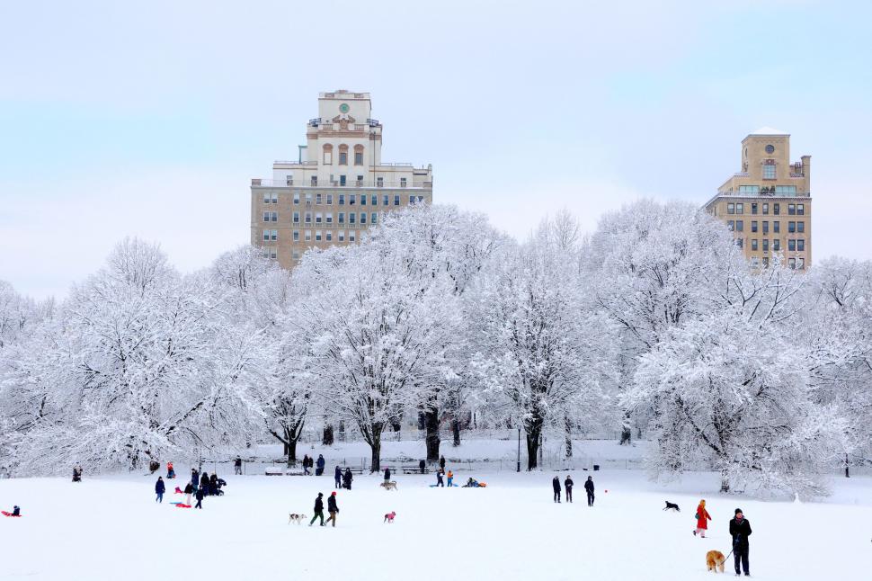 Furtuna de zăpadă paralizează SUA: Peste 10.000 de zboruri anulate și sute de mii de americani au rămas fără curent 1040863